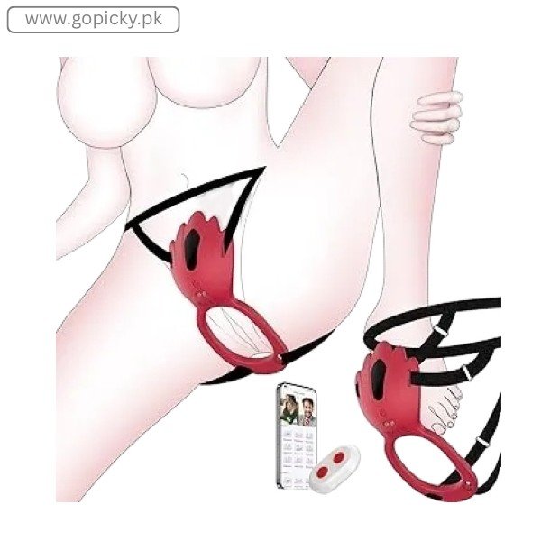 Wearable Panty Vibrator Couples Adult Toys in Pakistan