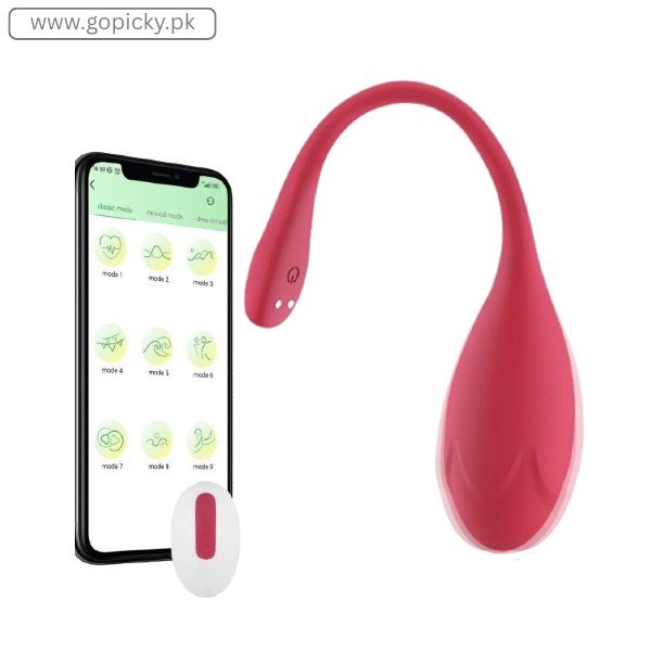 Long Distance Control Vibrator Pakistan